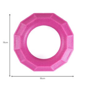 Zippy Paws ZippyTuff+ Fetch & Tug Dog Toy - Magenta Ring  image 2