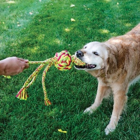 KONG Wubba Weaves Tug Rope Toy for Dogs in Assorted Colours image 2