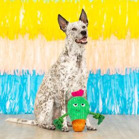 Fringe Studio You Grow Chica! Cactus Plush Dog Toy image 3