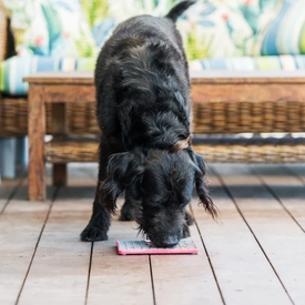 Lickimat Mini Tuff Playdate Slow Food Bowl Anti-Anxiety Mat for Dogs image 3