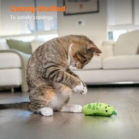 Petstages Crunchy Pickle Kicker Catnip Cat Toy image 3