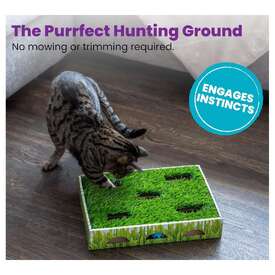 Petstages Grass Patch Hunting Box Interactive Cat Toy with Faux Grass image 3