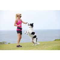 DOOG Hands-Free Dog Walkie Belt in Black - New Design & Size! image 3