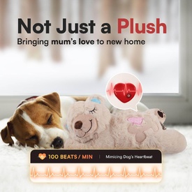 All For Paws Little Buddy Comfort Warm Bear | Soothing Heat Therapy image 3