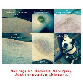 Augustine Approved Superheal Salve for Lumps, Wounds & Irritated Skin for Dogs image 4