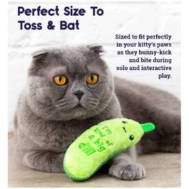 Petstages Crunchy Pickle Kicker Catnip Cat Toy image 4