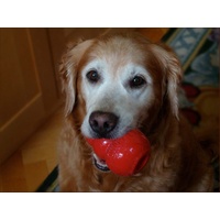 KONG Classic Red Stuffable Non-Toxic Fetch Interactive Dog Toy - Small image 4