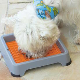 Lickimat Indoor Keeper Bundle Dog Slow Feeder with 3 Original Lickimats image 4