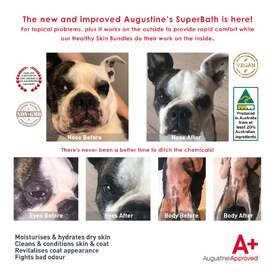 Augustine Approved Augustine's Superbath Calming Cleanser for Dogs image 5