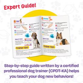 Brightkins Pooch School! Interactive Dog Training Set - Perfect for Puppies image 5