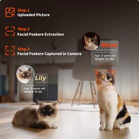 Petkit Purobot Ultra AI-Powered Self-cleaning Cat Litter Box image 6