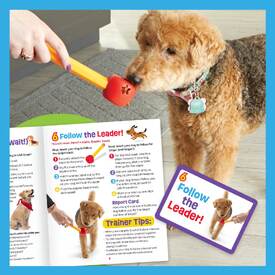 Brightkins Pooch School! Interactive Dog Training Set - Perfect for Puppies image 6