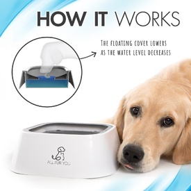 All Fur You Anti Splash Bowl | No Mess Pet Water Bowl - 1 Litre - While image 6