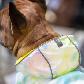 GF Pet Reversible Elasto-Fit Dog Raincoat in Neon Yellow/Soft Tie Dye image 7