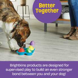 Brightkins Cupcake Party! Interactive Dog Treat Dispensing Toy & Puzzle image 8