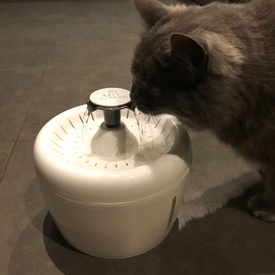 All Fur You Whisper Water Fountain for Cats & Dogs | Silent & Clean Hydration image 8