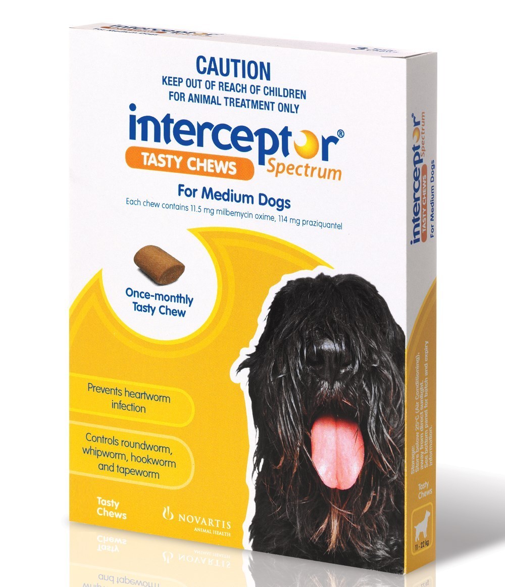 buy-interceptor-spectrum-tasty-chews-for-large-dogs-22-to-45kg-blue