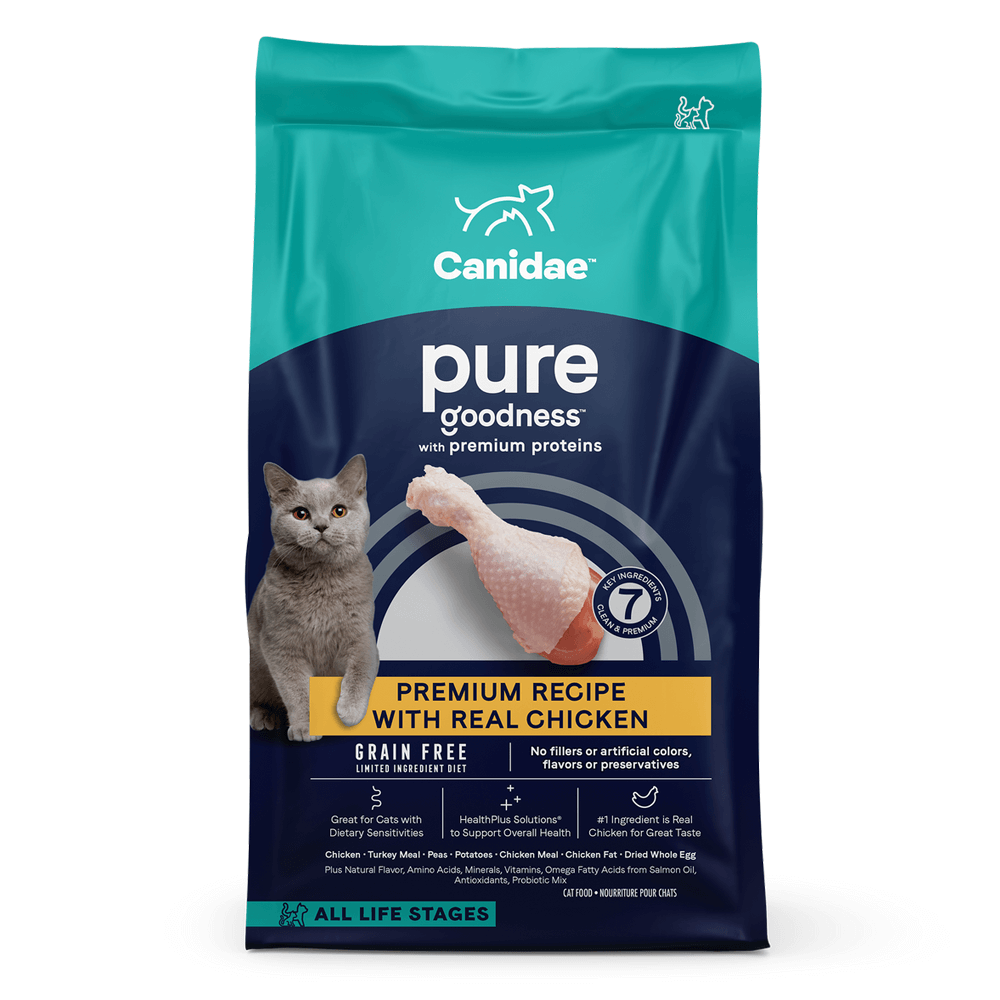 feeding cats grain free food