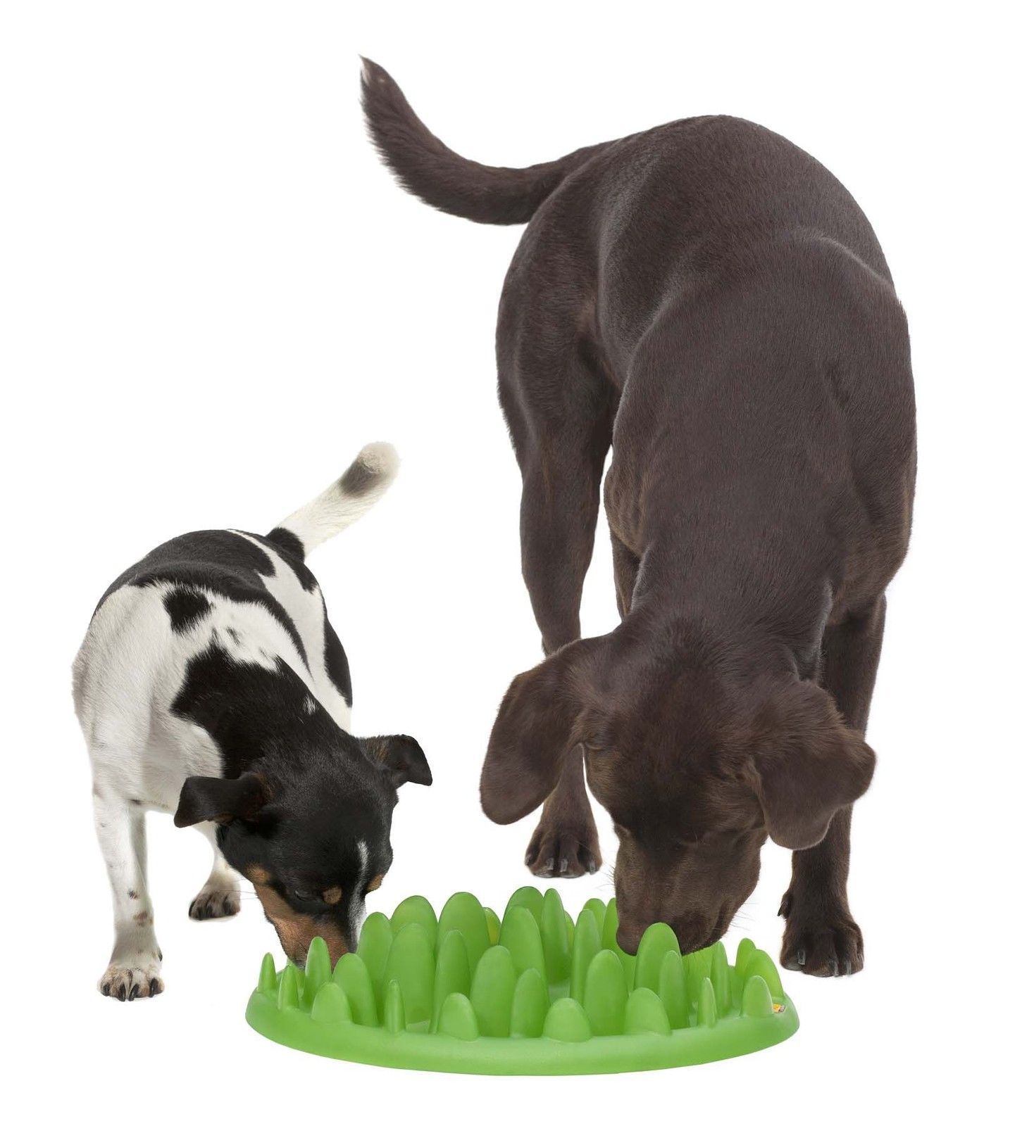 Zippy Paws Plush Squeaker Dog Toy - Birthday Box with Cake, Balloon & Party Hat