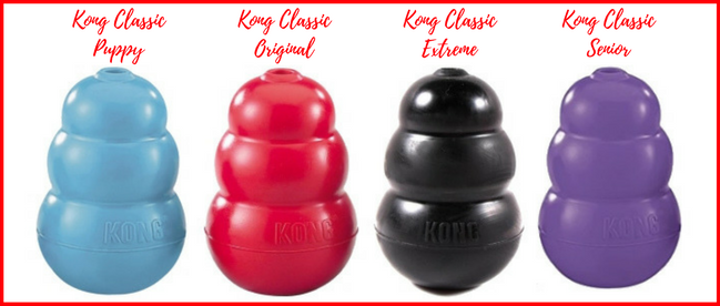 things to put in kong toy
