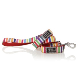 Doog Neoprene Dog Lead - Scooby - Candy Stripes