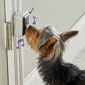 Hunger For Words Talking Pet Doorbell - Perfect if you don't have a doggy door!