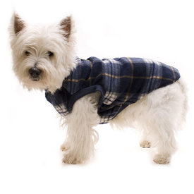 Hamish McBeth Slip-On Dog Pyjamas - Blue Tartan - 70cm