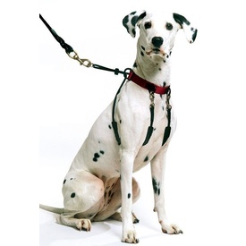 Sporn Halter Harness - The Safe & Humane Dog Halter - Small