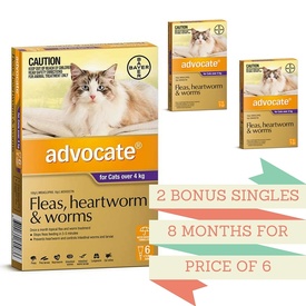 Premium Cat Foods, indestructible cat toys and more!