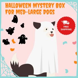 Mystery Surprise Box for Medium-Large Dogs - Halloween Themed