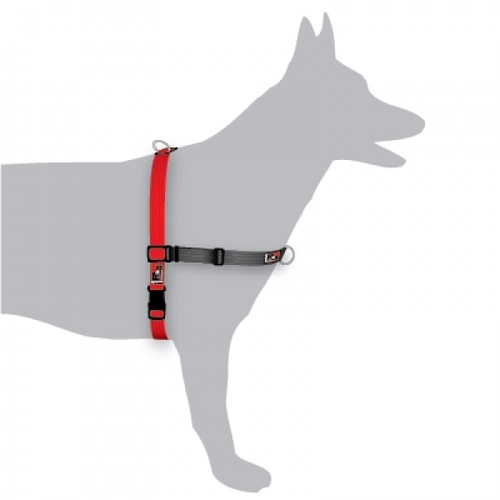 Black Dog Balance Dog Halter with Front & Back attach D-Rings - Large - Red main image