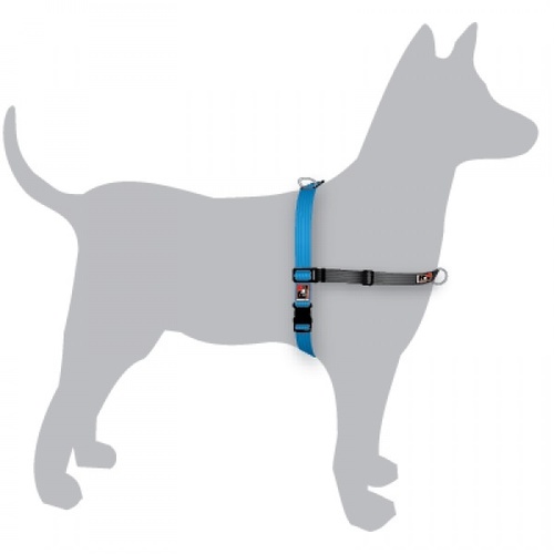 Black Dog Balance Dog Halter with Front & Back attach D-Rings - X-Large - Blue main image