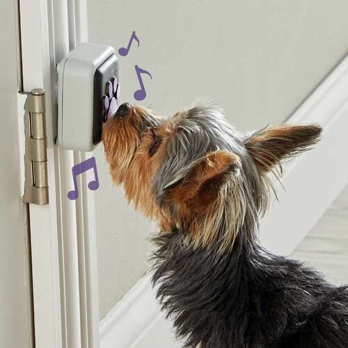 Hunger For Words Talking Pet Doorbell - Perfect if you don't have a doggy door! main image