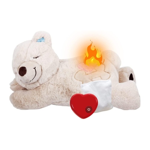 All For Paws Little Buddy Comfort Warm Bear | Soothing Heat Therapy main image