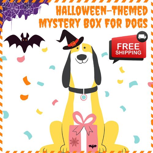 Surprise Mystery Box for Small Dogs - Halloween Themed main image